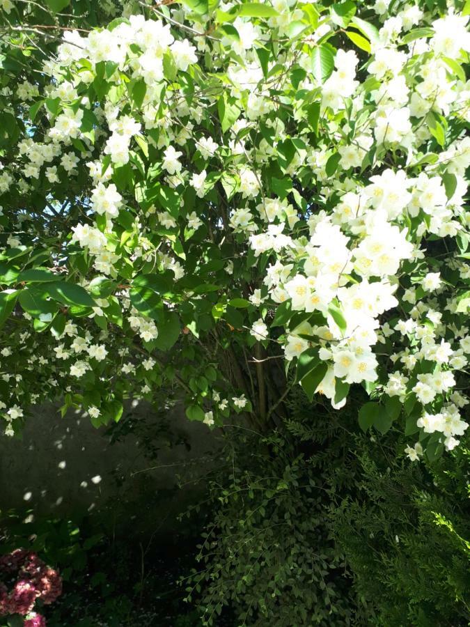 Les Seringats Poissy Dış mekan fotoğraf